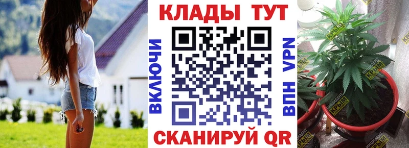 Магазины продажи наркотиков Кувшиново A PVP mega вход Конопля Гашиш Псилоцибиновые грибы