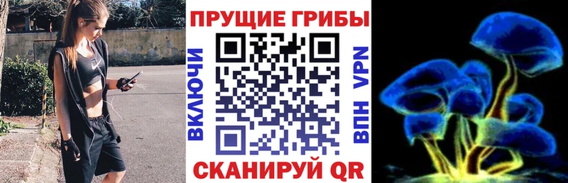 Псилоцибиновые грибы GOLDEN TEACHER купить наркотик Кувшиново