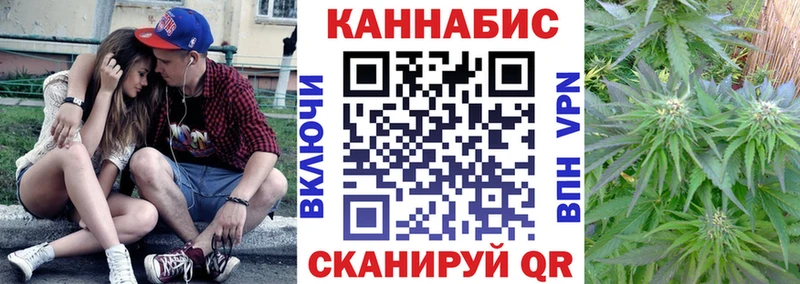 Каннабис план  цены наркотик  Кувшиново 